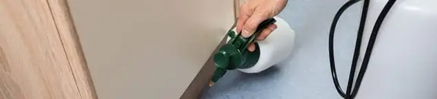 Bed bug exterminator treating baseboards and cracks with targeted spray in Boulder, CO