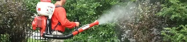 Mosquito control technician fogging shrubs and landscaping for mosquito treatment in Boulder, CO