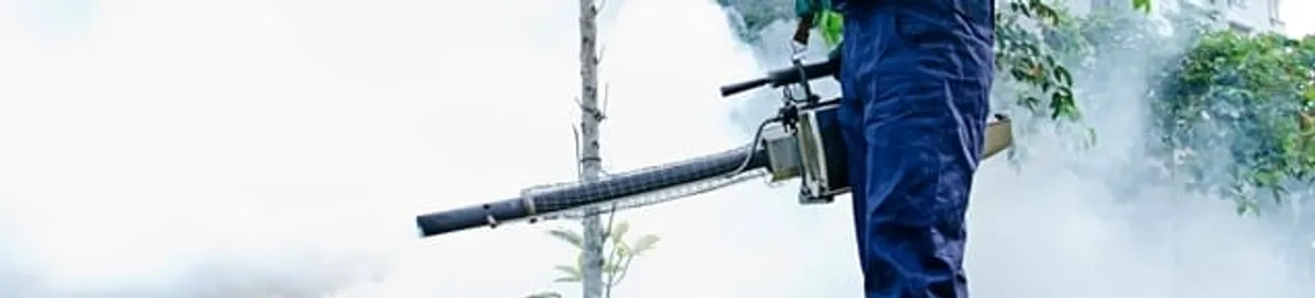 Pest control technician fogging an outdoor area for insect control in Boulder, CO