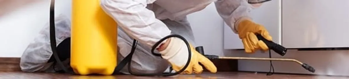 Roach exterminator treating cracks and crevices along kitchen baseboards in Boulder, CO