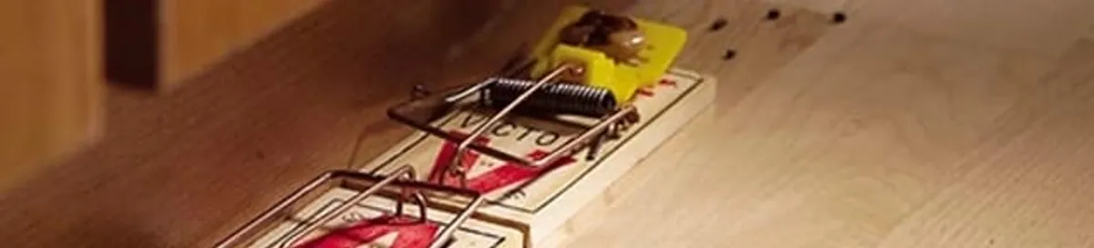Rodent trap set indoors for rodent control and prevention in Boulder, CO