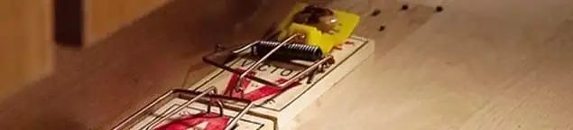 Rodent trap set indoors for rodent control and prevention in Boulder, CO